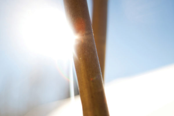 soul-poles-bamboo-ski-poles-detail